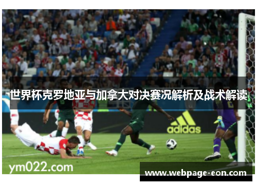 世界杯克罗地亚与加拿大对决赛况解析及战术解读 世界杯克罗地亚与加拿大对决赛况解析及战术解读